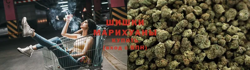 Канабис SATIVA & INDICA  Белокуриха 